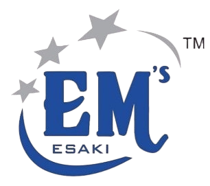 Esaki Blocks Logo